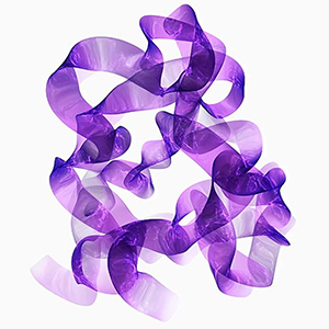 生物大分子结构